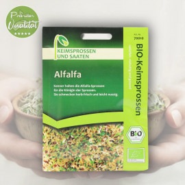 Keimsprossen Bio Alfalfa von Keimsprossen und Saaten