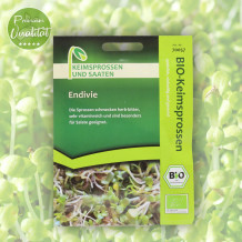 Keimsprossen Bio Endivie von Keimsprossen und Saaten
