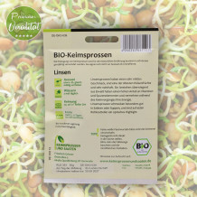 Bio Linsen Keimsprossen von Keimsprossen und Saaten