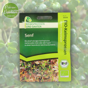 Bio Senfsprossen von Keimsprossen und Saaten