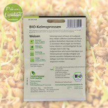 Bio Weizen Keimsprossen von Keimsprossen und Saaten