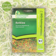 Bio Rotkleesprossen von Keimsprossen und Saaten