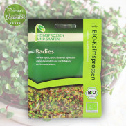 Bio Radieschensprossen von Keimsprossen und Saaten
