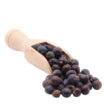 Wacholderbeeren Bio von der Ölmühle Bayreuth