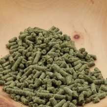 Bio Kürbiskernpresskuchen