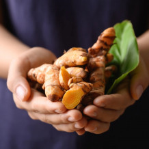 Bio Kurkuma auf den Händen von der Ölmühle Bayreuth