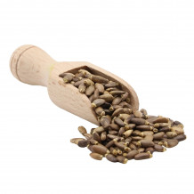 Bio Mariendistelsamen von der Ölmühle Bayreuth