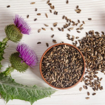 Bio Mariendistelsamen - Ölmühle Bayreuth - Online Shop