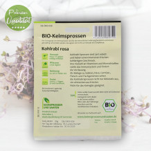 Keimsprossen Bio Kohlrabi rosa von Keimsprossen und Saaten
