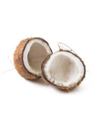 Produkte aus Bio-Kokosnuss kaufen | Ölmühle Bayreuth