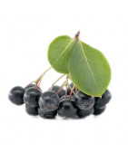 Gesunde Pordukte aus der Aronia-Beere von der Ölmühle Bayreuth