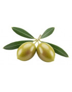 Produkte aus Bio Oliven kaufen | Ölmühle Bayreuth