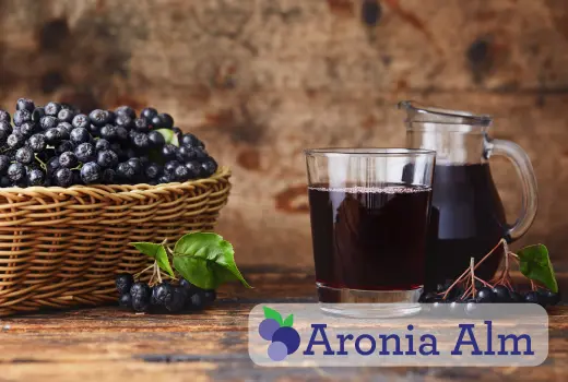 Aroniaprodukte der Aronia Alm