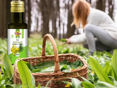 Unser neues Würzöl Bälauch » Das Bärlauchöl