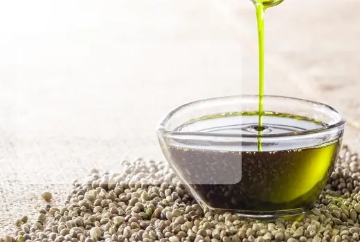 Aus der Saat wird Öl